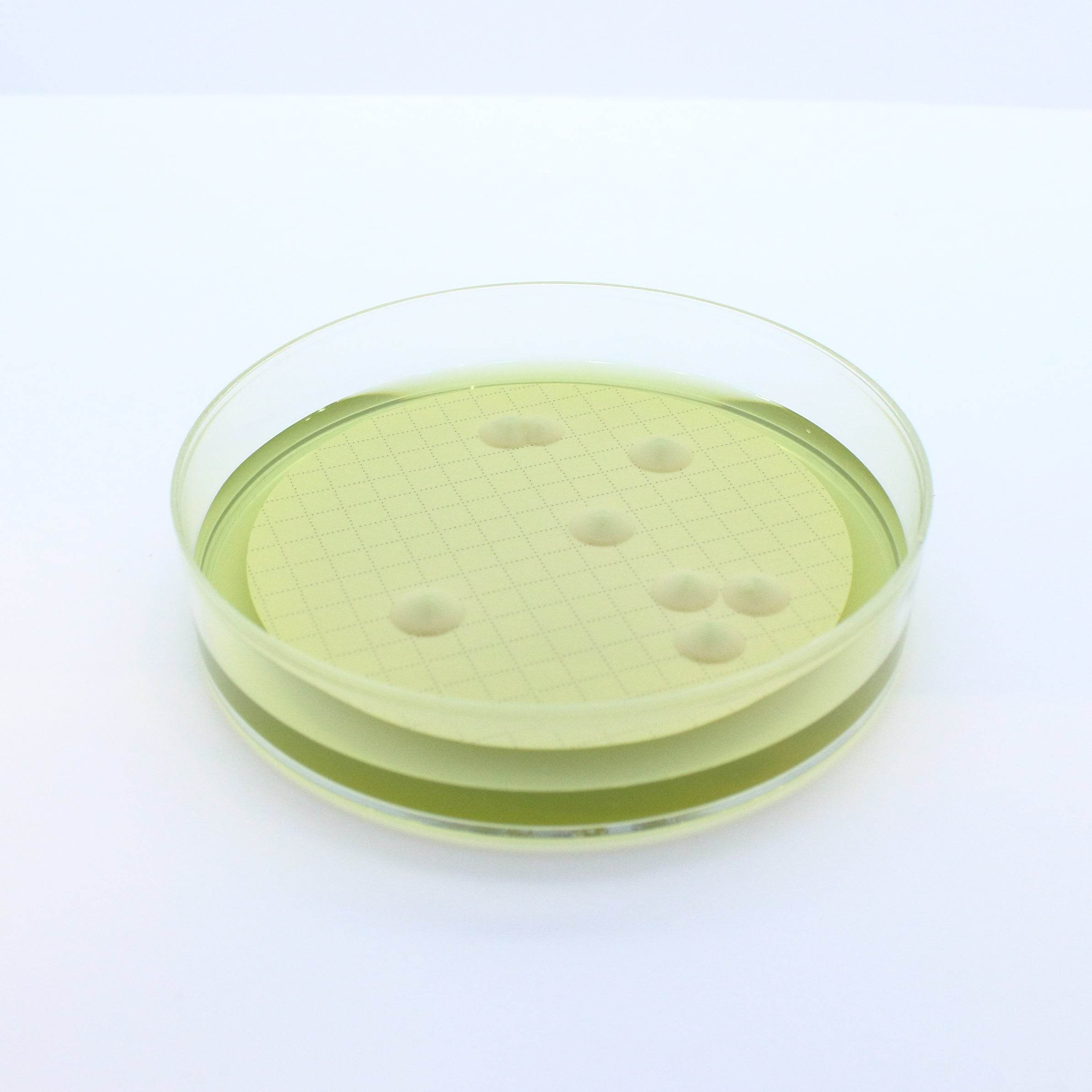 Easy Dry M-Green Yeast & Mold - Kormay Biomedicals store