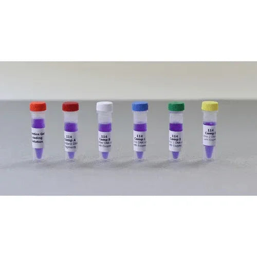 Bulk Replenisher (24 Groups) - Expt. 114 - Kormay Biomedicals store