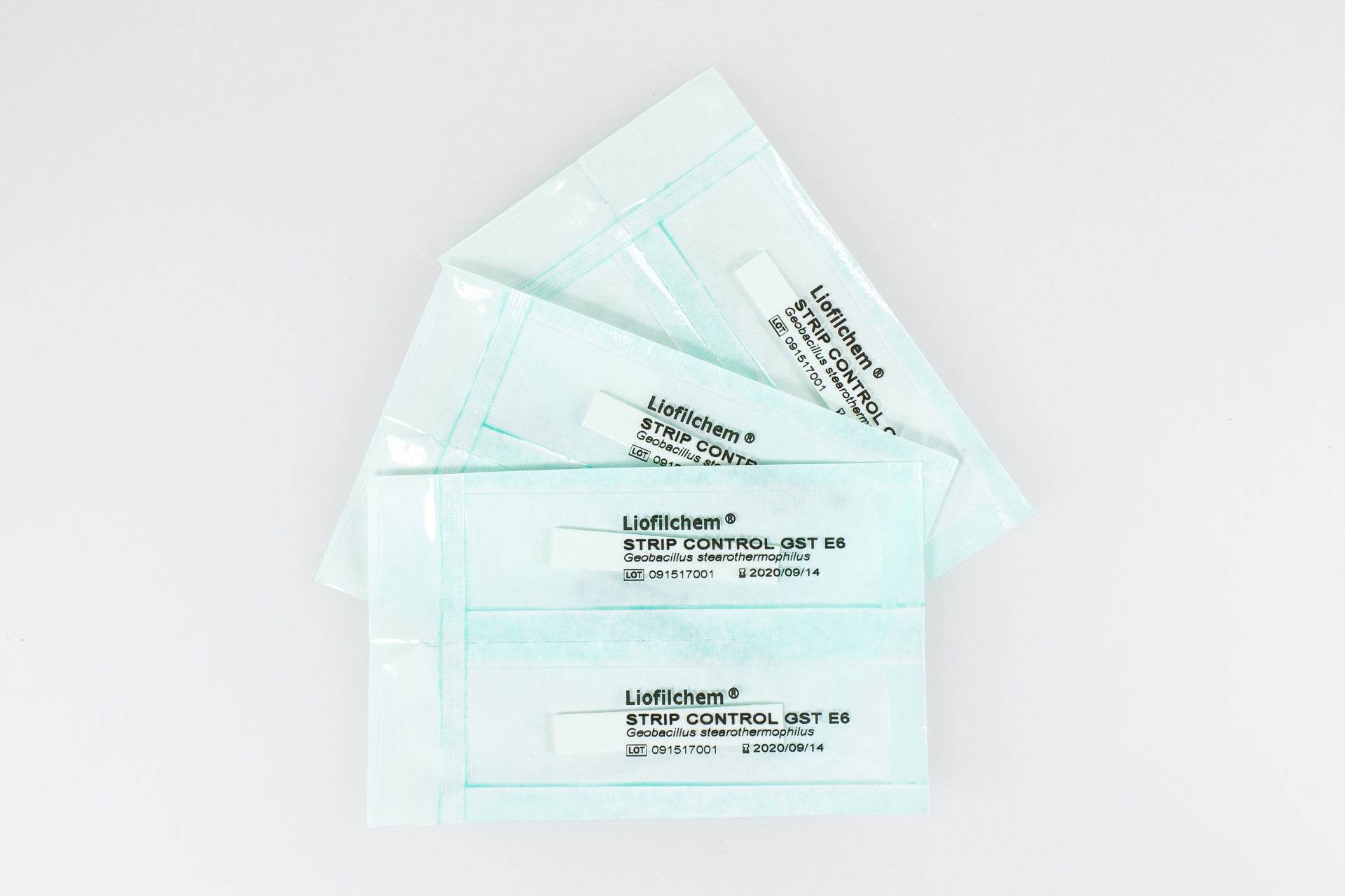 Strip Control GST E6 (Strips) - Kormay Biomedicals store