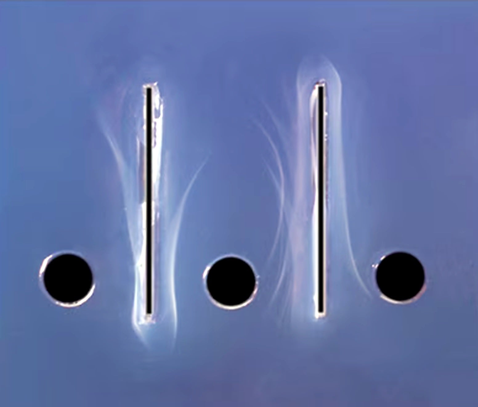 EDVOTEK Immunoelectrophoresis 272 - Liofilchem product