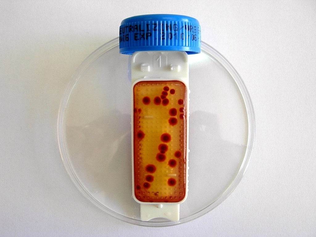 Contact Slide 1 - Kormay Biomedicals store