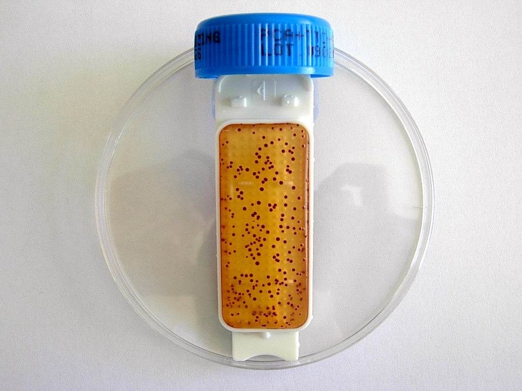 Contact Slide 1 - Kormay Biomedicals store