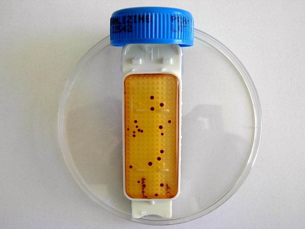 Contact Slide 1 - Kormay Biomedicals store