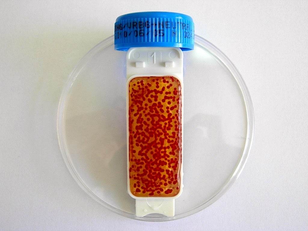 Contact Slide 1 - Kormay Biomedicals store