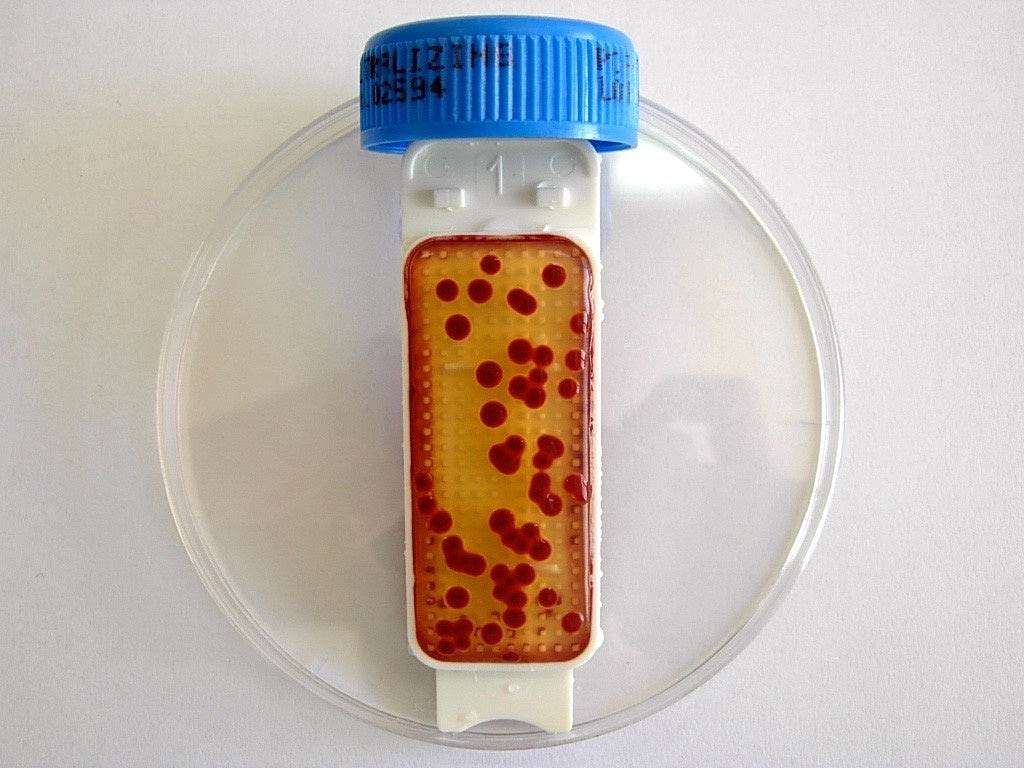Contact Slide 1 - Kormay Biomedicals store