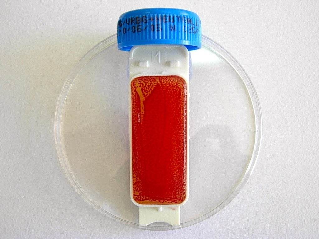 Contact Slide 1 - Kormay Biomedicals store