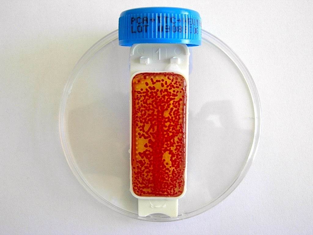 Contact Slide 1 - Kormay Biomedicals store