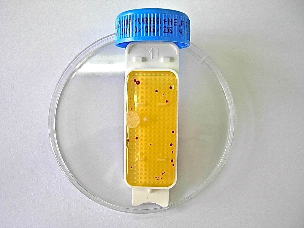 Contact Slide 1 - Kormay Biomedicals store