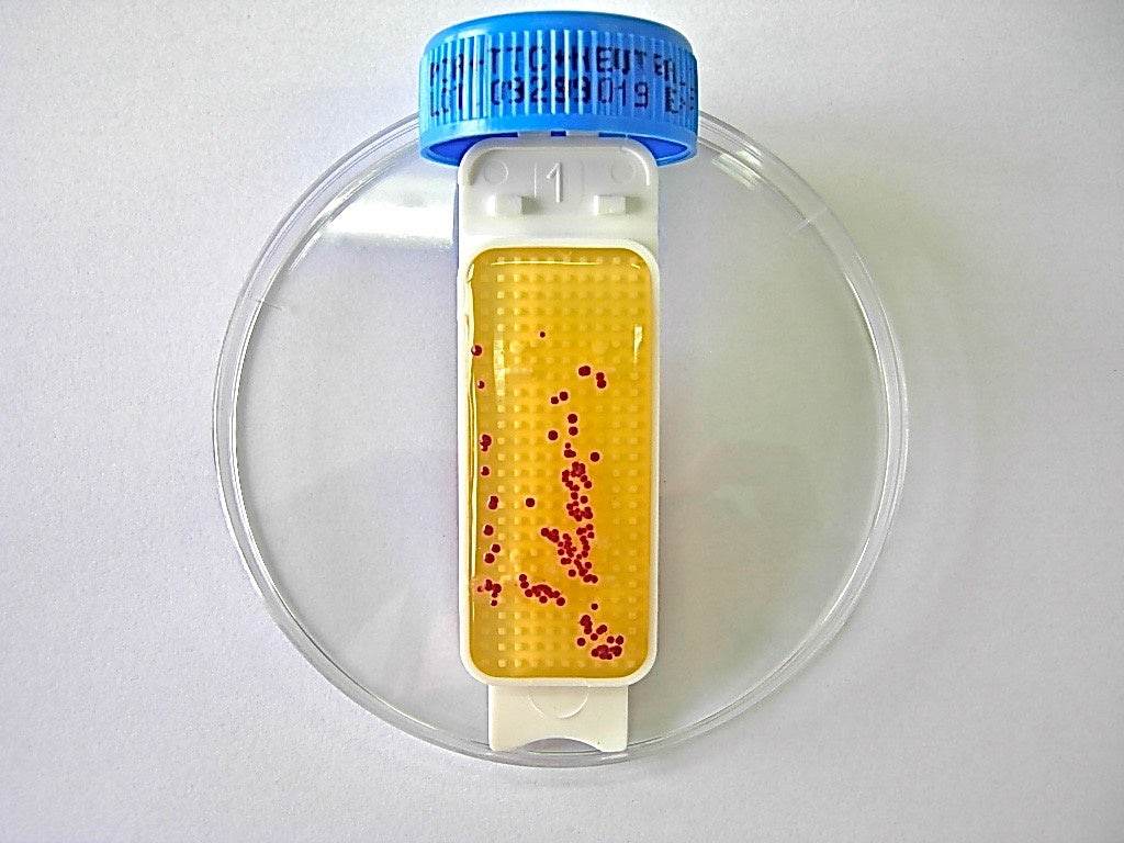 Contact Slide 1 - Kormay Biomedicals store