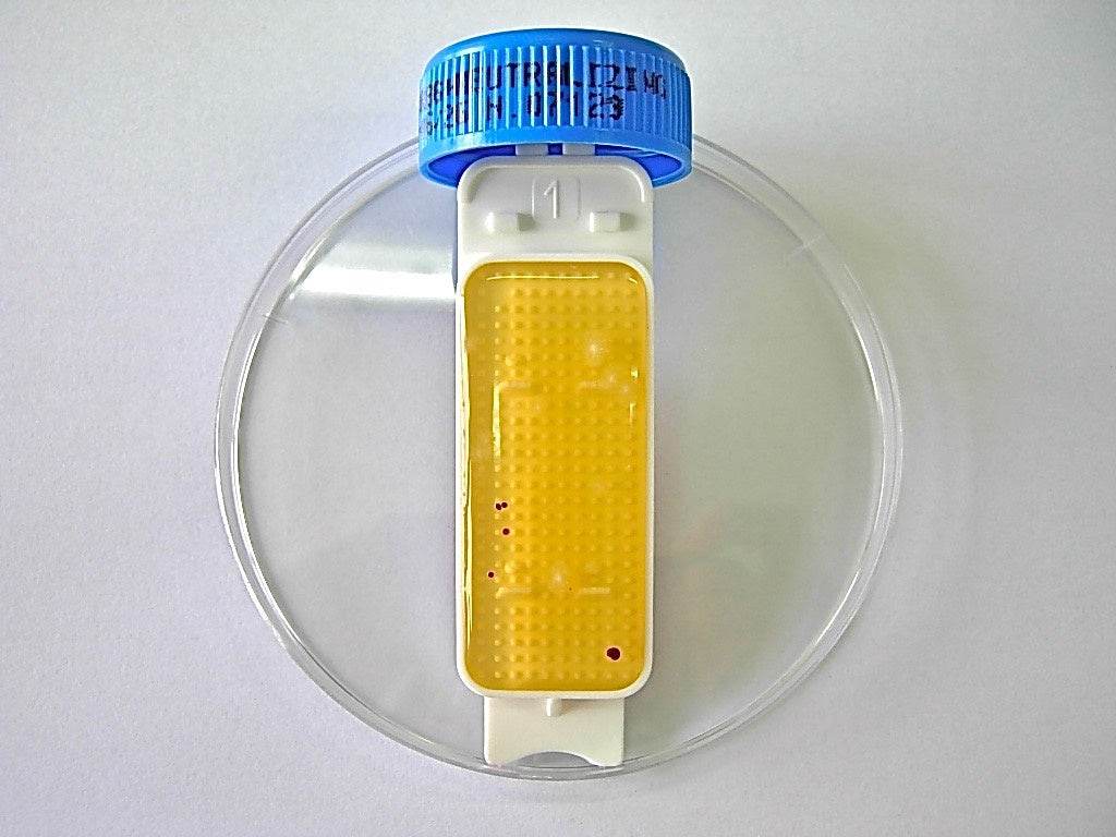 Contact Slide 1 - Kormay Biomedicals store