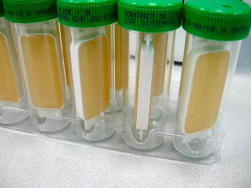 Contact Slide 9 (PCA+TTC+Neutralizing x 2) - Kormay Biomedicals store
