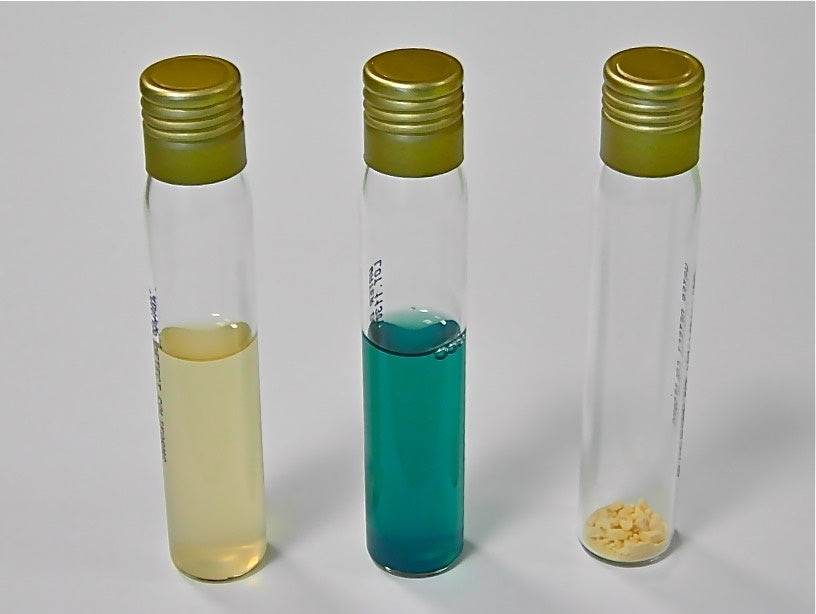 Water Detect Coliforms for 10 mL - Kormay Biomedicals store