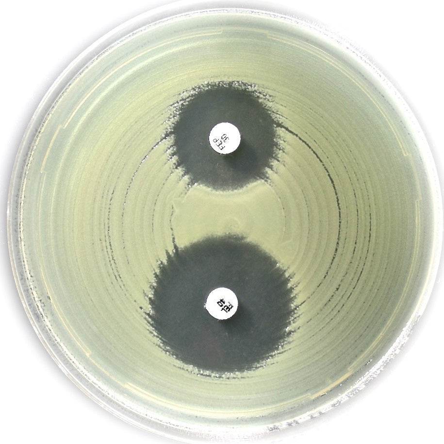 AST DISC ESBL (Chromos. Ind. AmpC) disc kit (acc. to EUCAST) - Kormay Biomedicals store