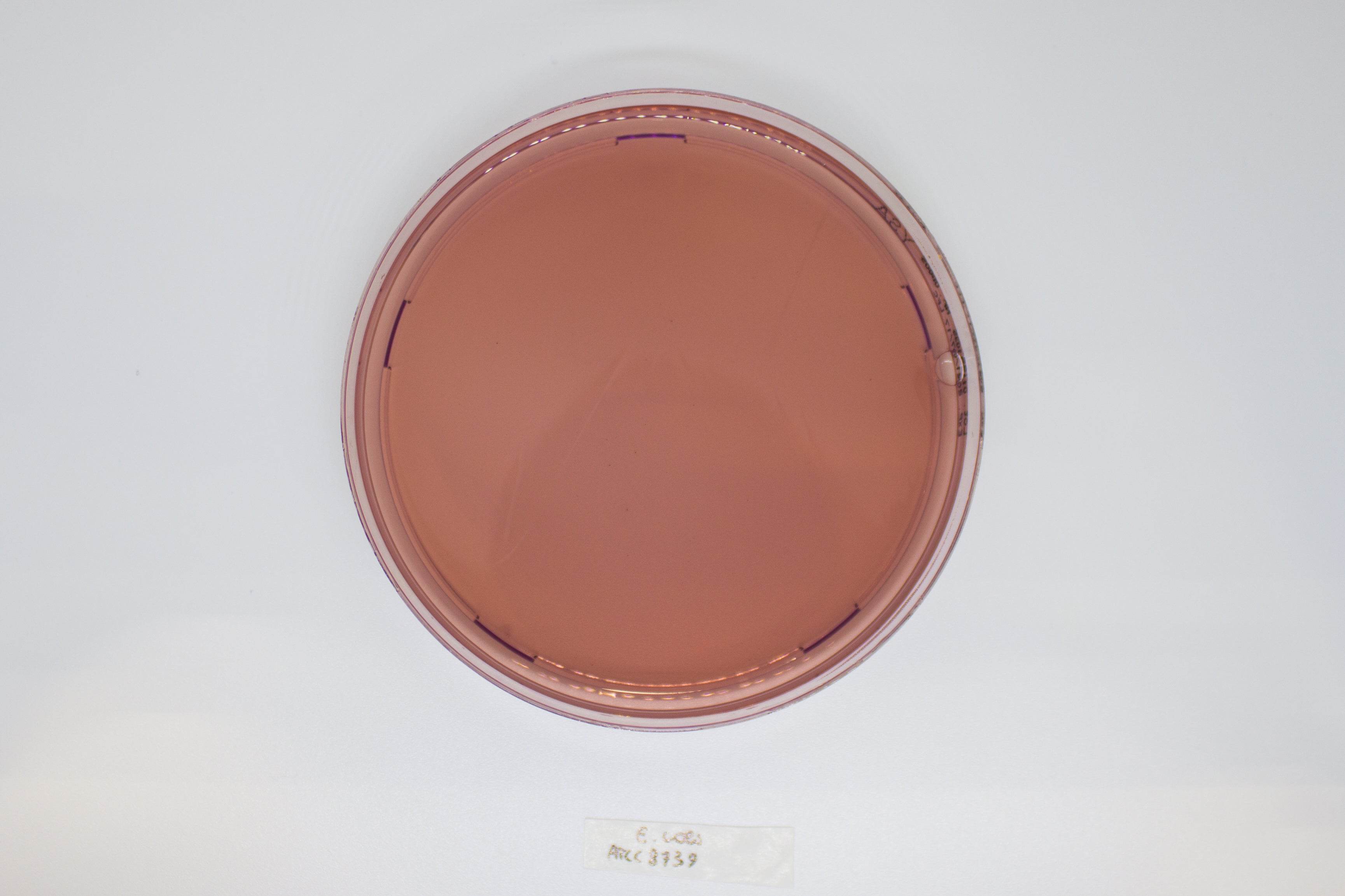YERSINIA Selective Agar - Kormay Biomedicals store