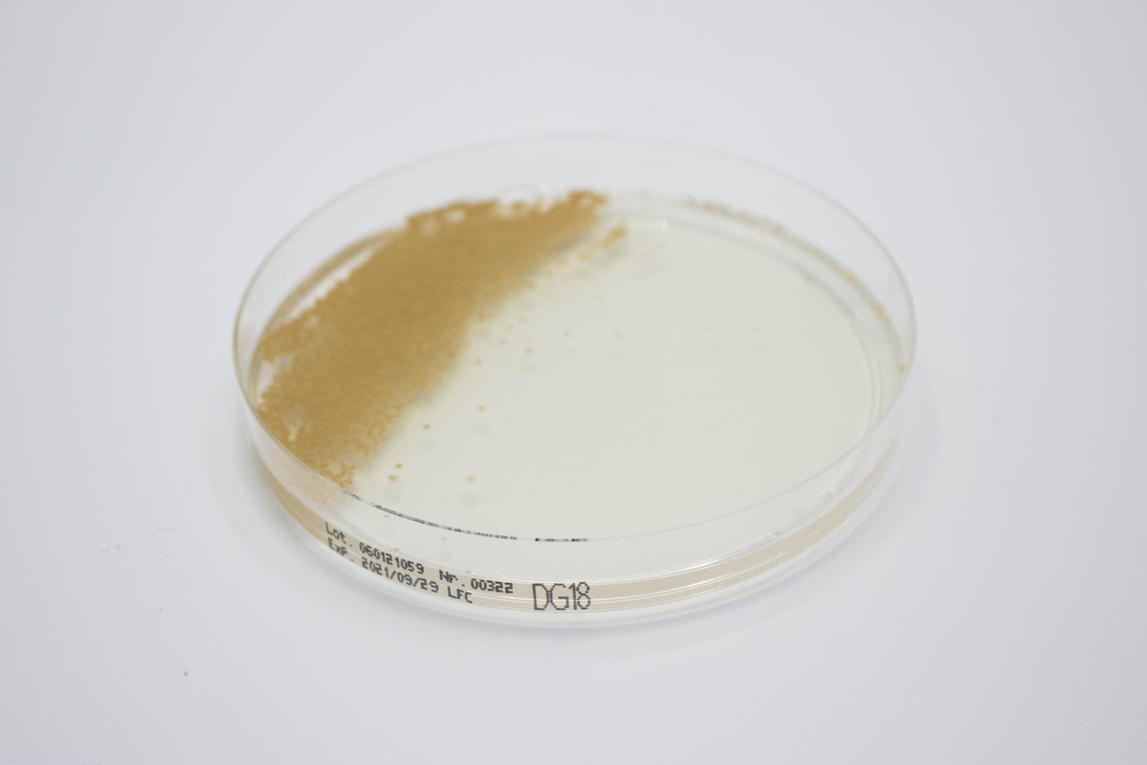 Dichloran Glycerol (DG18) Agar - Kormay Biomedicals store