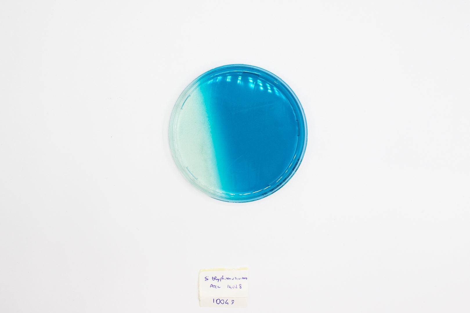 M.S.R.V. Agar - Kormay Biomedicals store