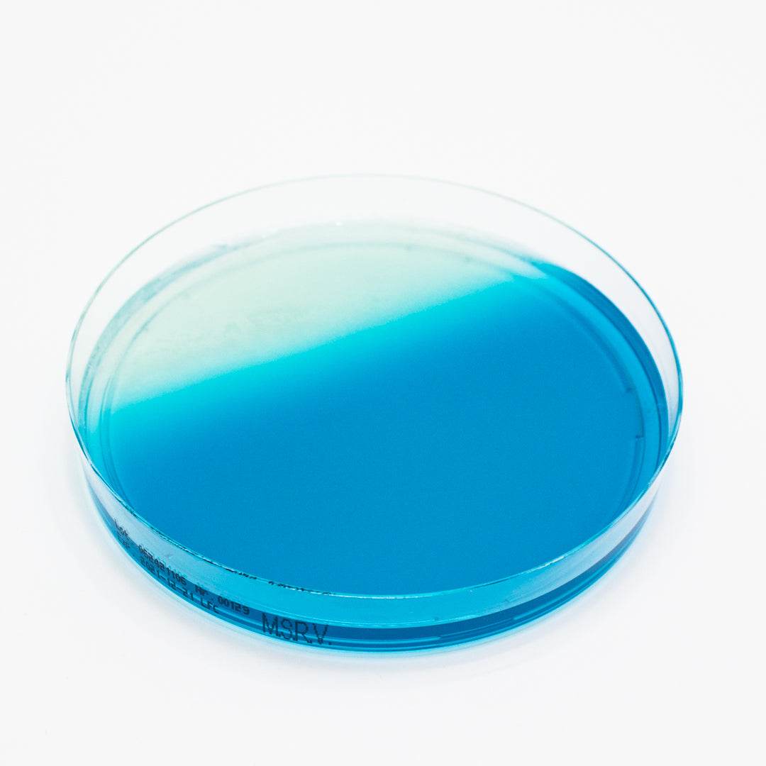 M.S.R.V. Agar - Kormay Biomedicals store