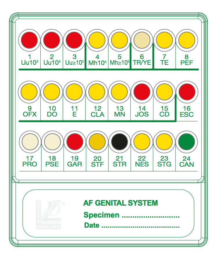 Liofilchem Microbiology A.F. GENITAL SYSTEM - For Microbiology Lab Testing