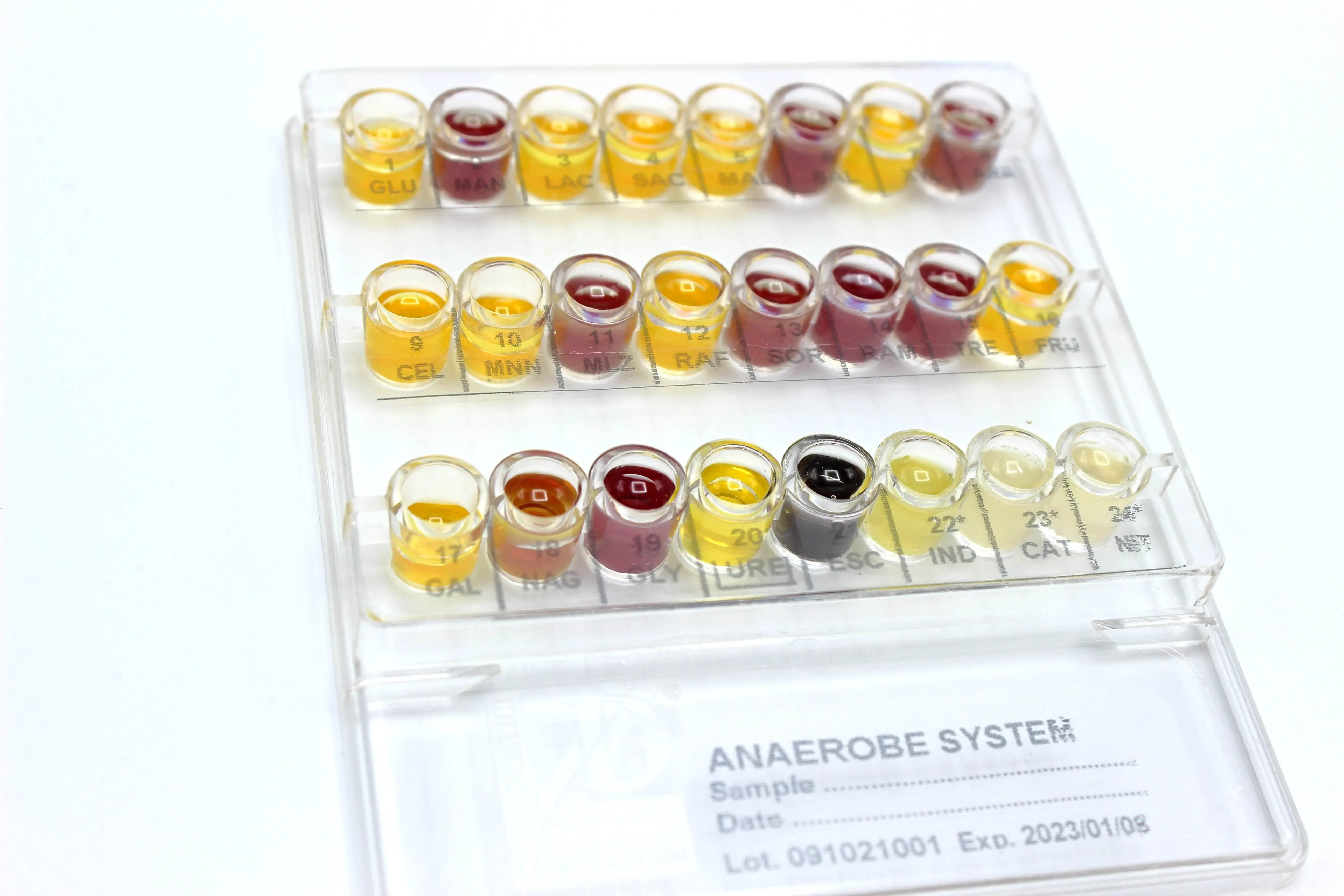 Liofilchem Anaerobe System 71620