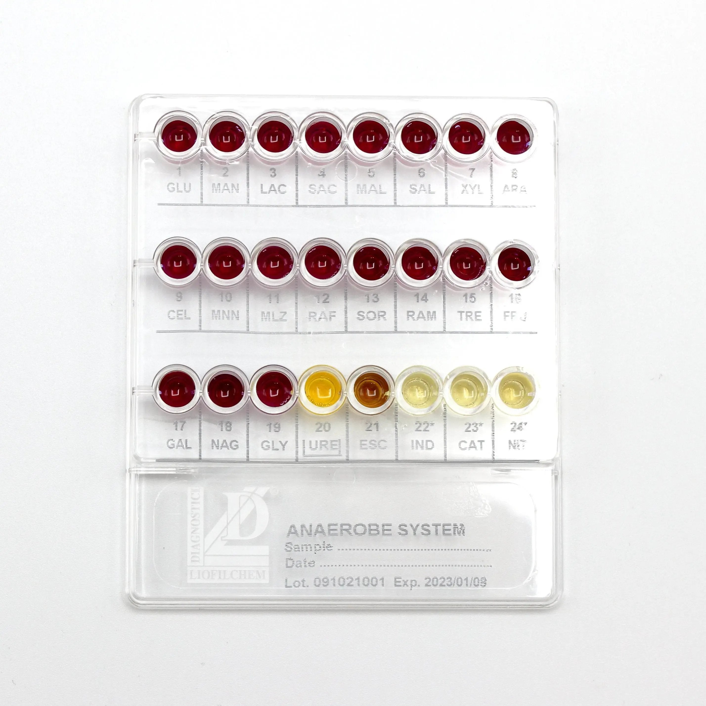 Liofilchem Anaerobe System 71620