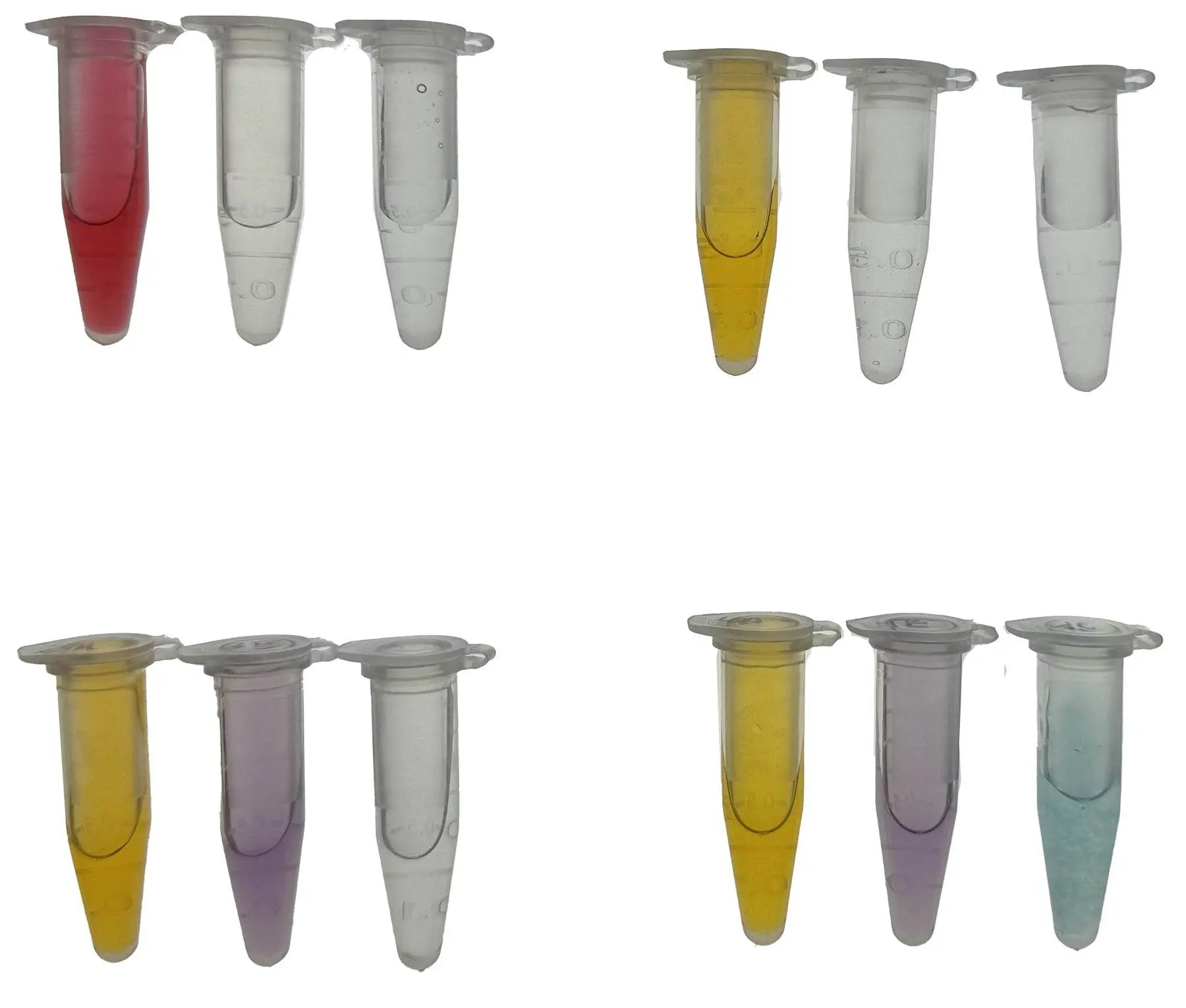 EDVOTEK Biotech Education UNIT Aquatic Detectives: Solve the Mystery of the Contaminated Waterway