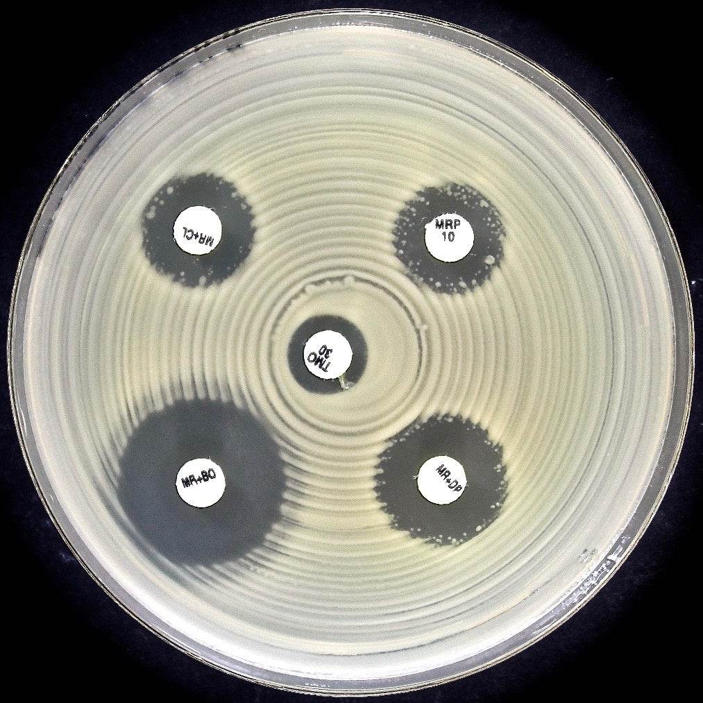 Liofilchem KPC&MBL&OXA-48 disc kit (acc. to EUCAST) for confirmation of 99007