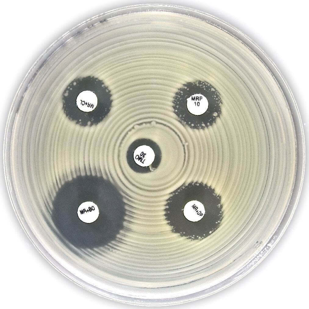 Liofilchem KPC&MBL&OXA-48 disc kit (acc. to EUCAST) for confirmation of 99007