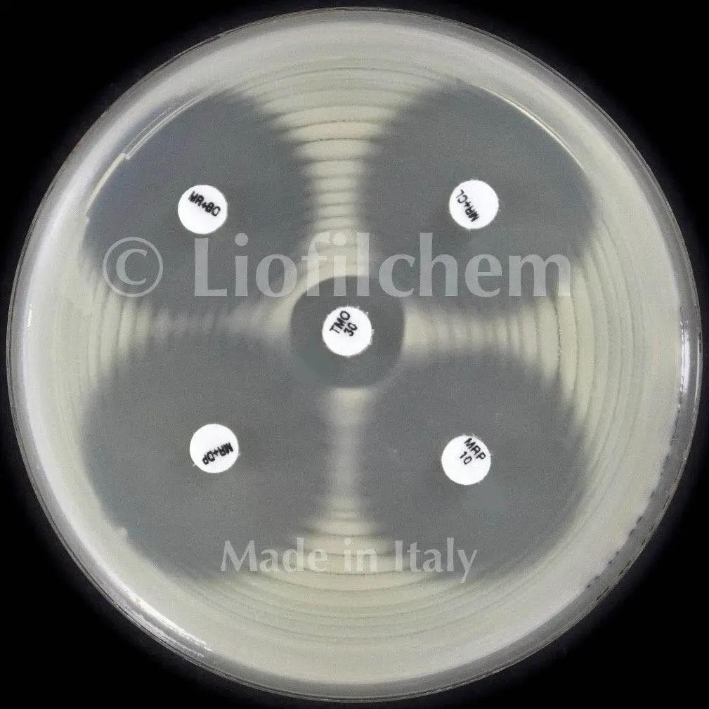 Liofilchem KPC&MBL&OXA-48 disc kit (acc. to EUCAST) for confirmation of 99007