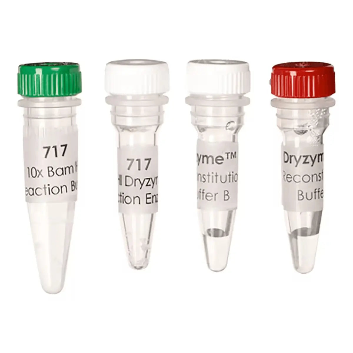 EDVOTEK Biotech Education UNIT Bam HI Dryzyme® (1500 units)