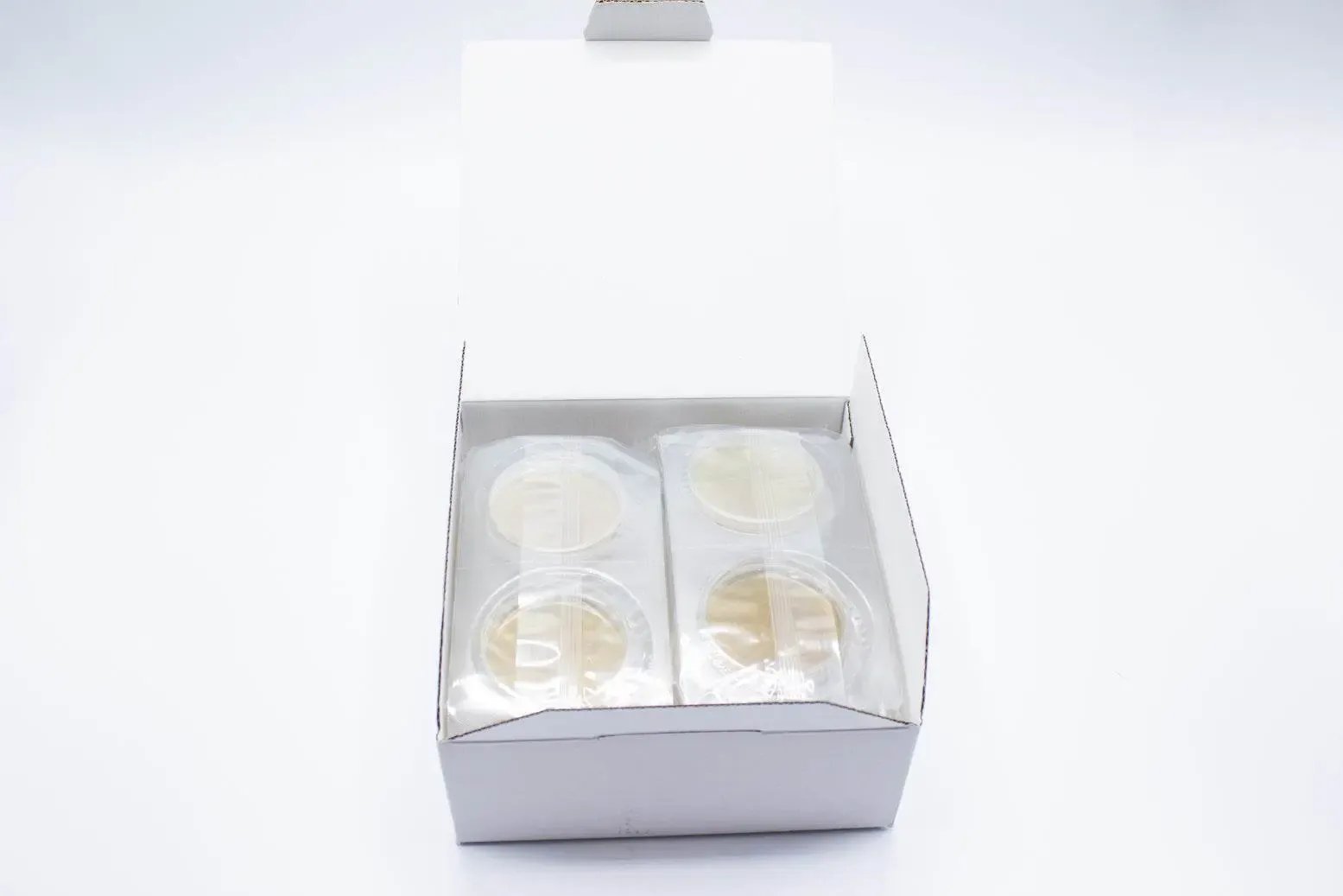 Liofilchem Bile Aesculin Azide Agar Culture Media 610001