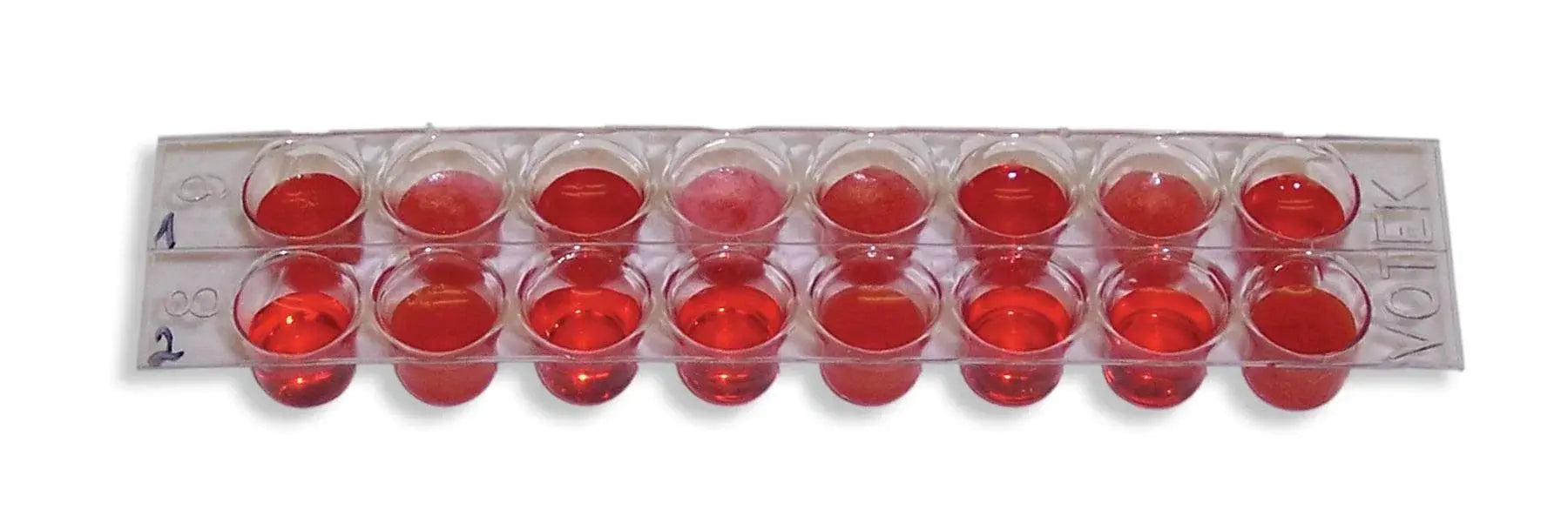 EDVOTEK Biotech Education UNIT Blood-based Cancer Diagnostics
