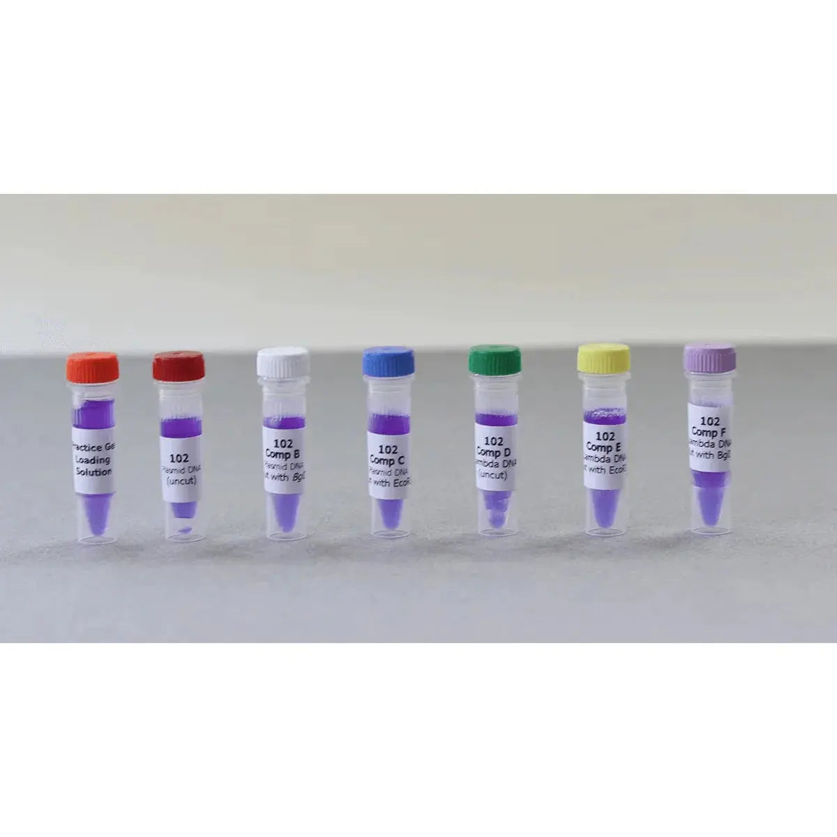 EDVOTEK Biotech Education UNIT Bulk Replenisher (24 Groups) - Expt. 102