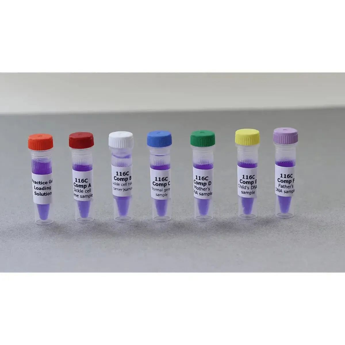 EDVOTEK Biotech Education UNIT Bulk Replenisher (24 Groups) - Expt. 116