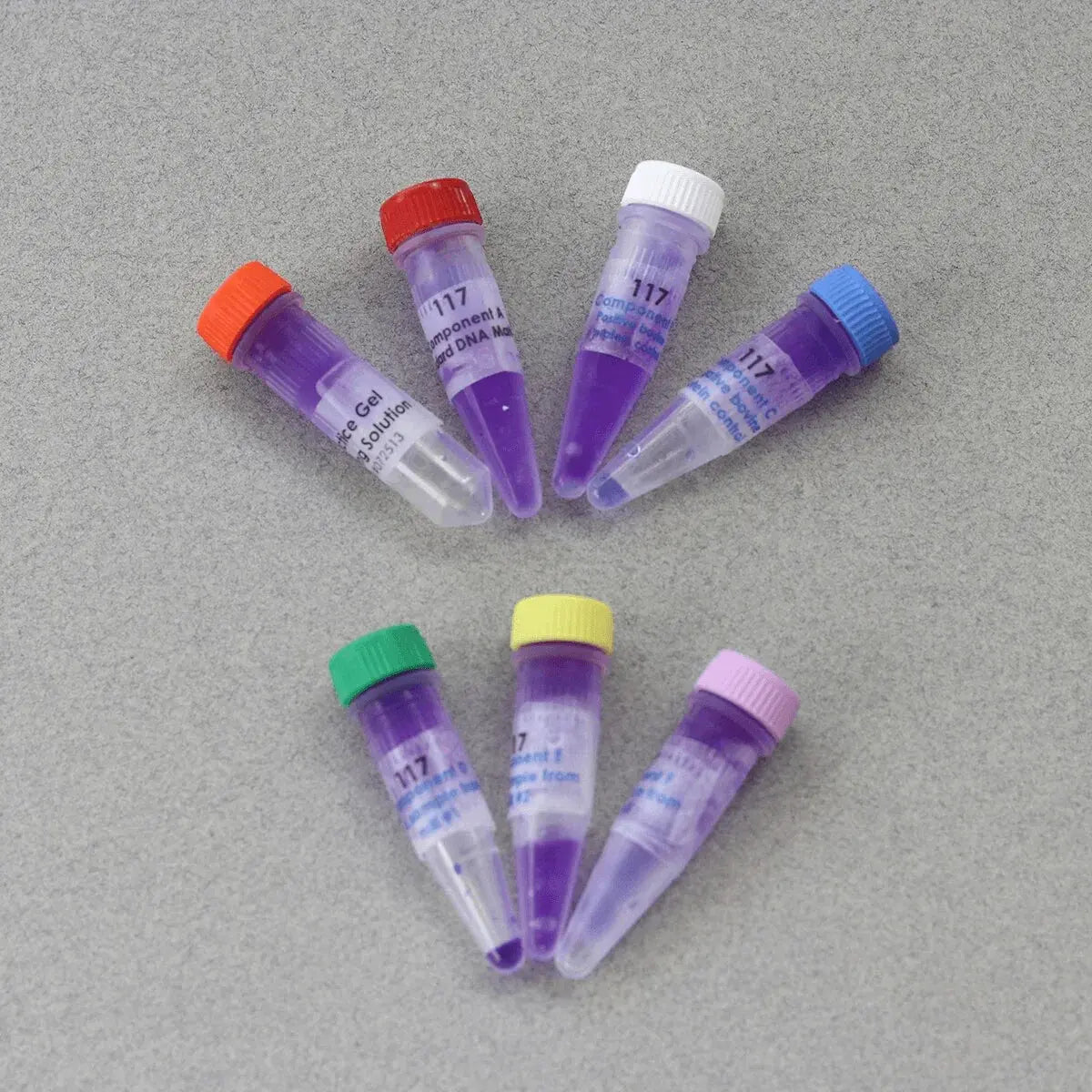 EDVOTEK Biotech Education UNIT Bulk Replenisher (24 Groups) - Expt. 117