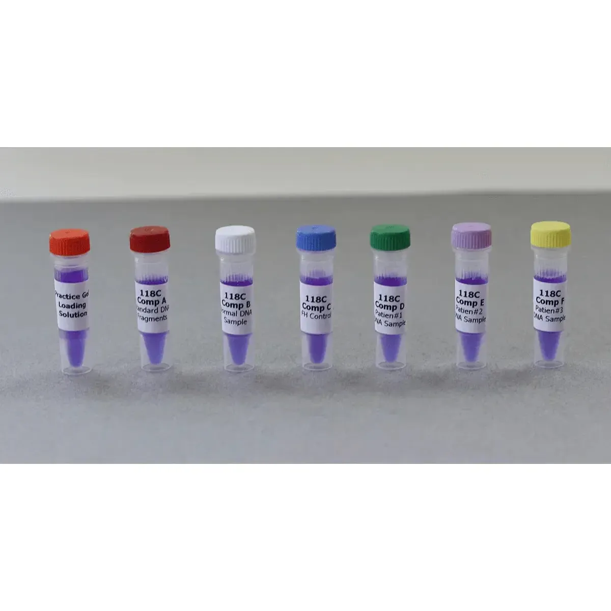 EDVOTEK Biotech Education UNIT Bulk Replenisher (24 Groups) - Expt. 118