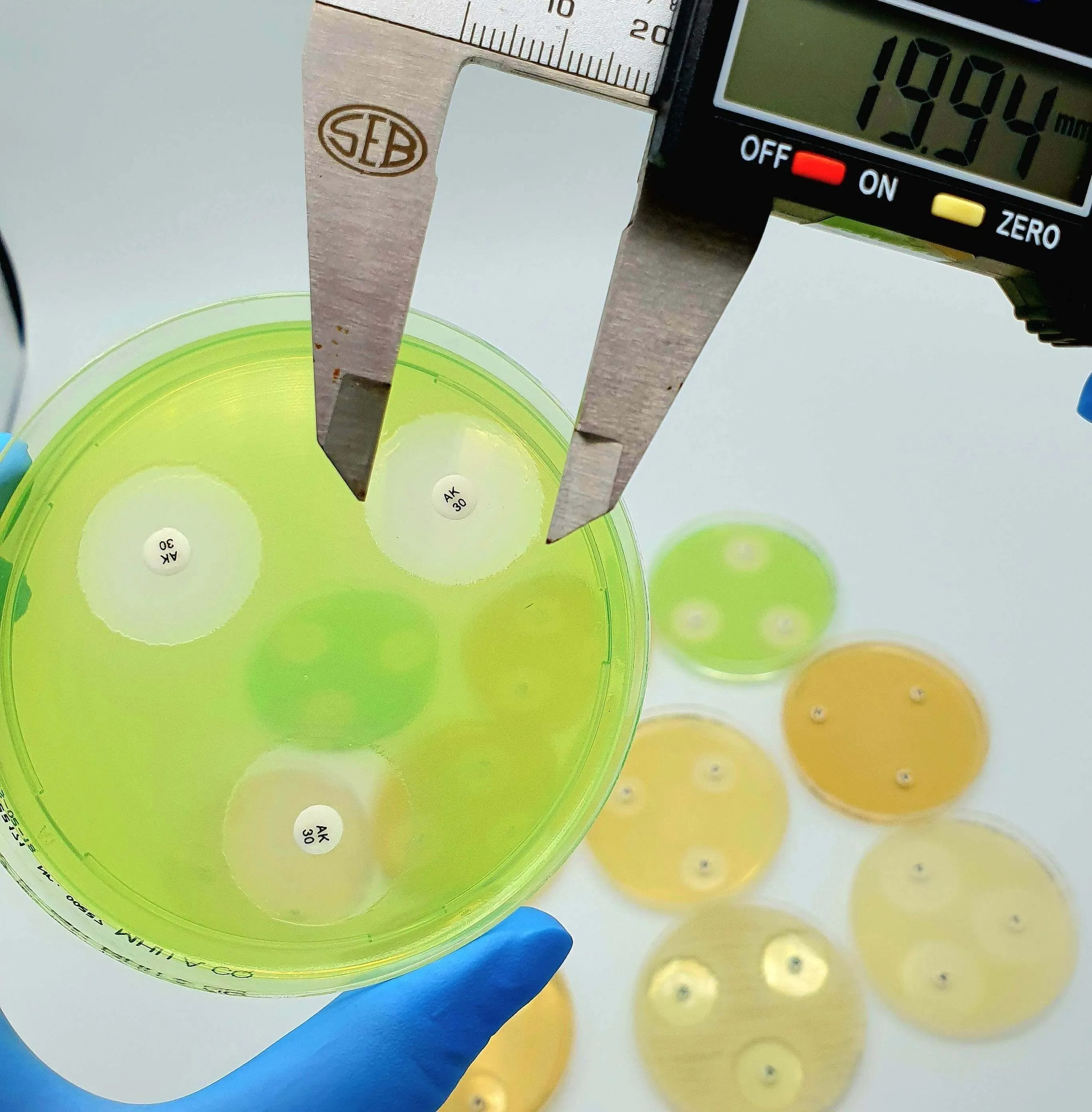 Liofilchem Cefiderocol FDC 30 ug Antibiotic discs for susceptibility tests 9266