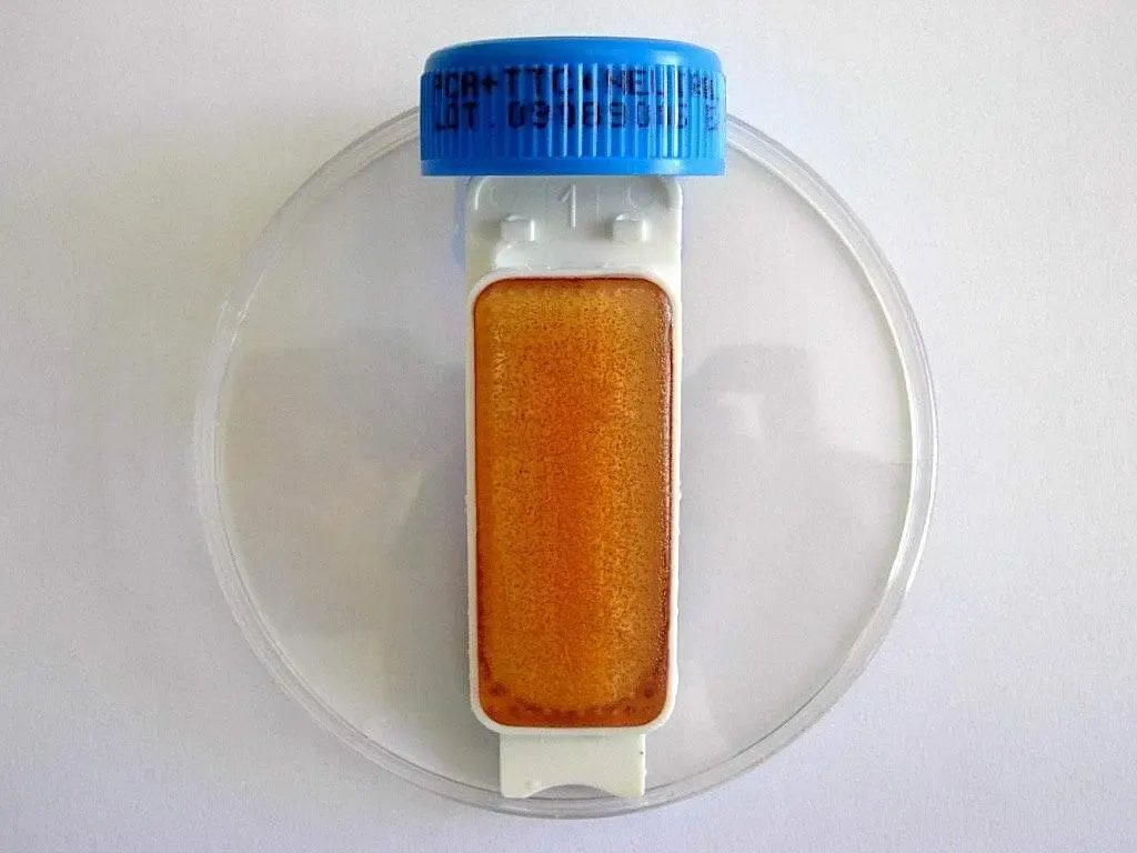 Liofilchem Contact Slide 1 53526