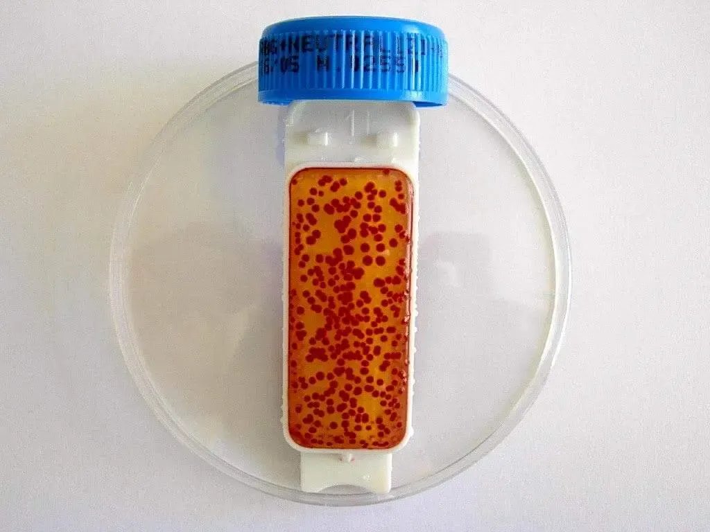 Liofilchem Contact Slide 1 53526
