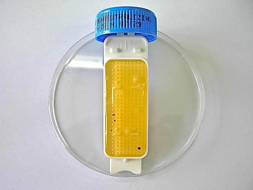 Liofilchem Contact Slide 1 53526