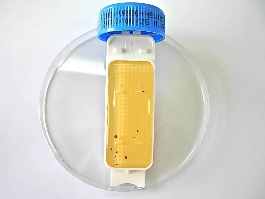 Liofilchem Contact Slide 1 53526