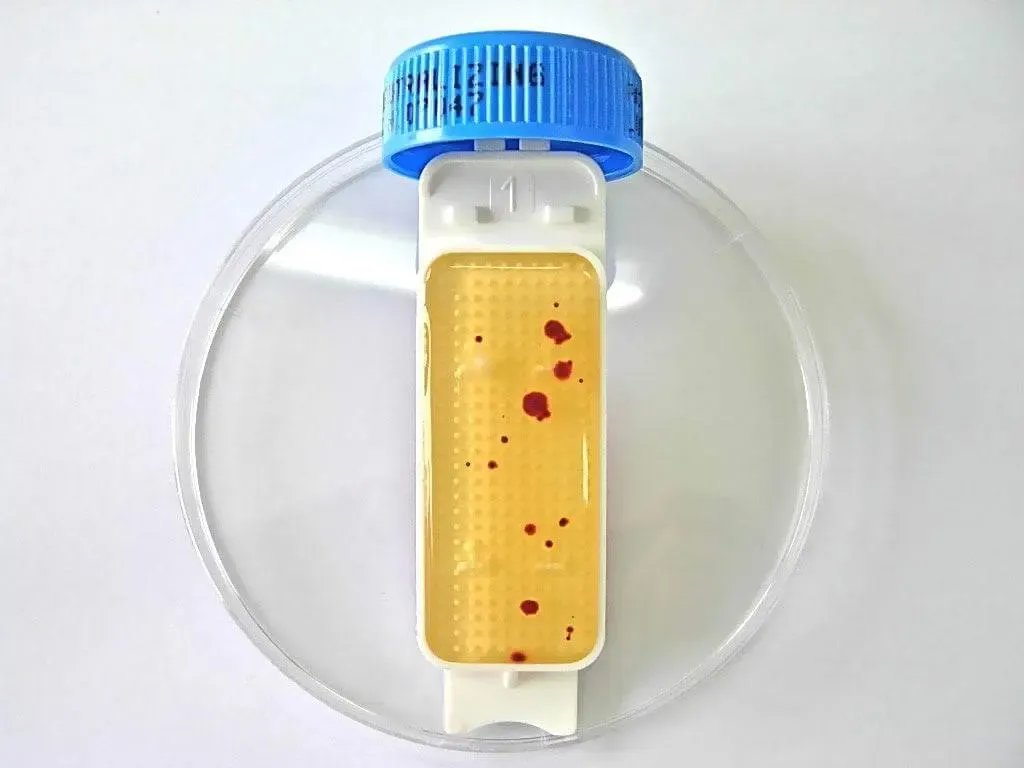 Liofilchem Contact Slide 1 53526