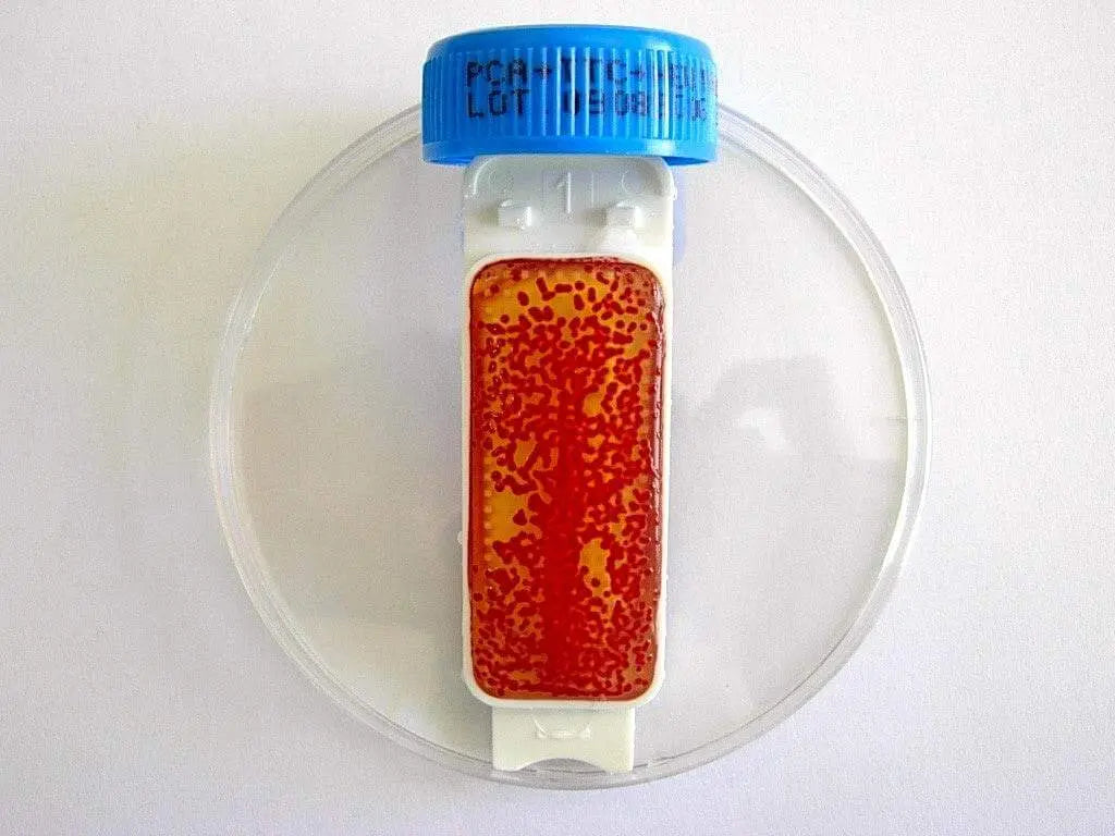Liofilchem Contact Slide 1 53526