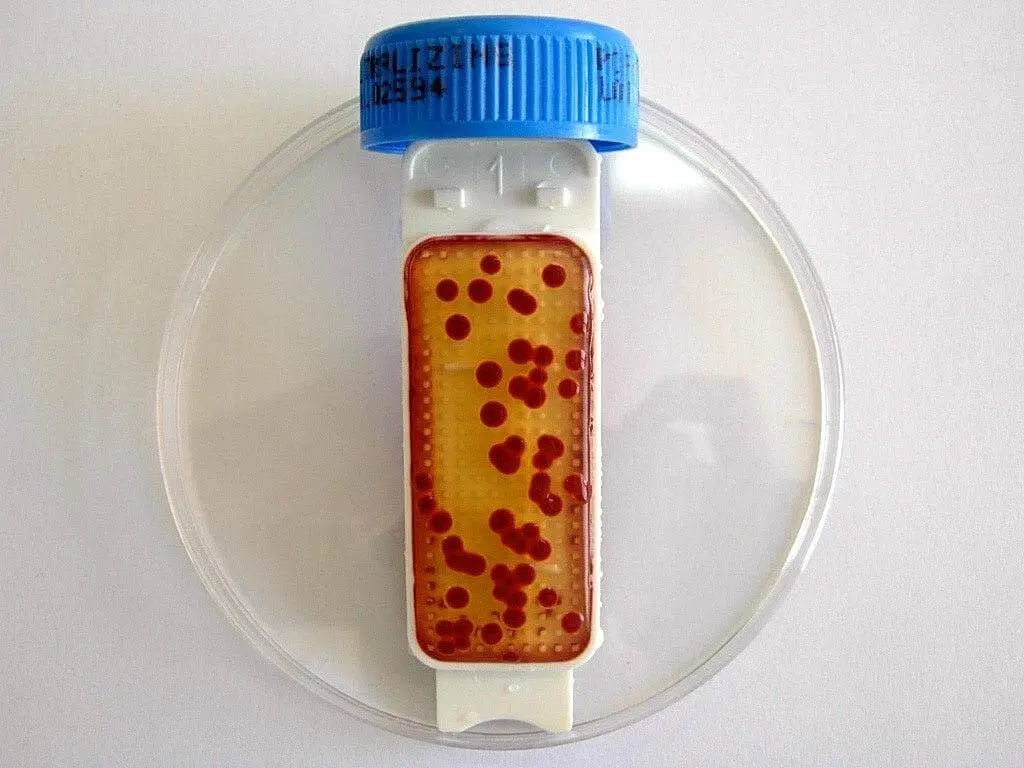 Liofilchem Contact Slide 1 53526