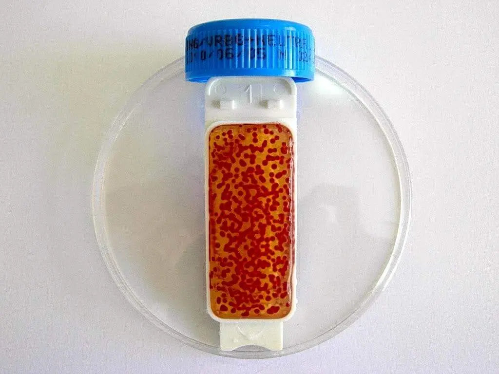 Liofilchem Contact Slide 1 53526
