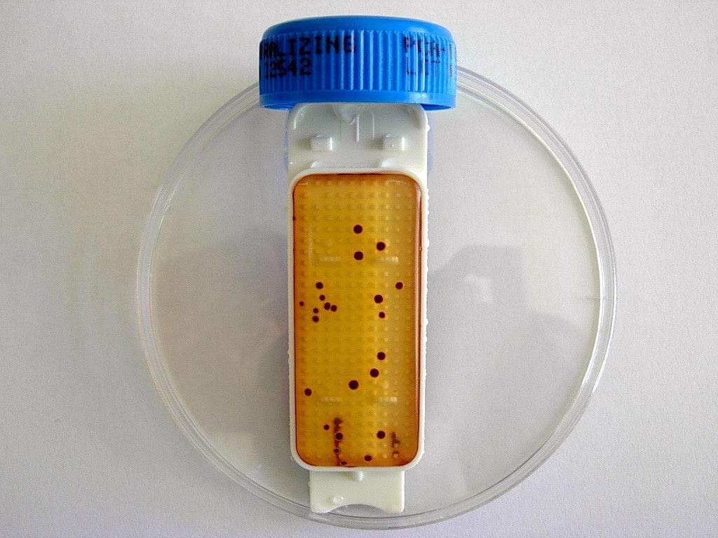 Liofilchem Contact Slide 1 53526