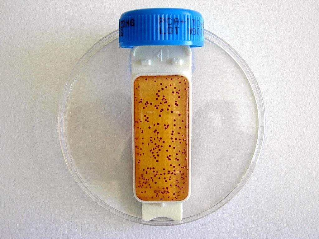 Liofilchem Contact Slide 1 53526