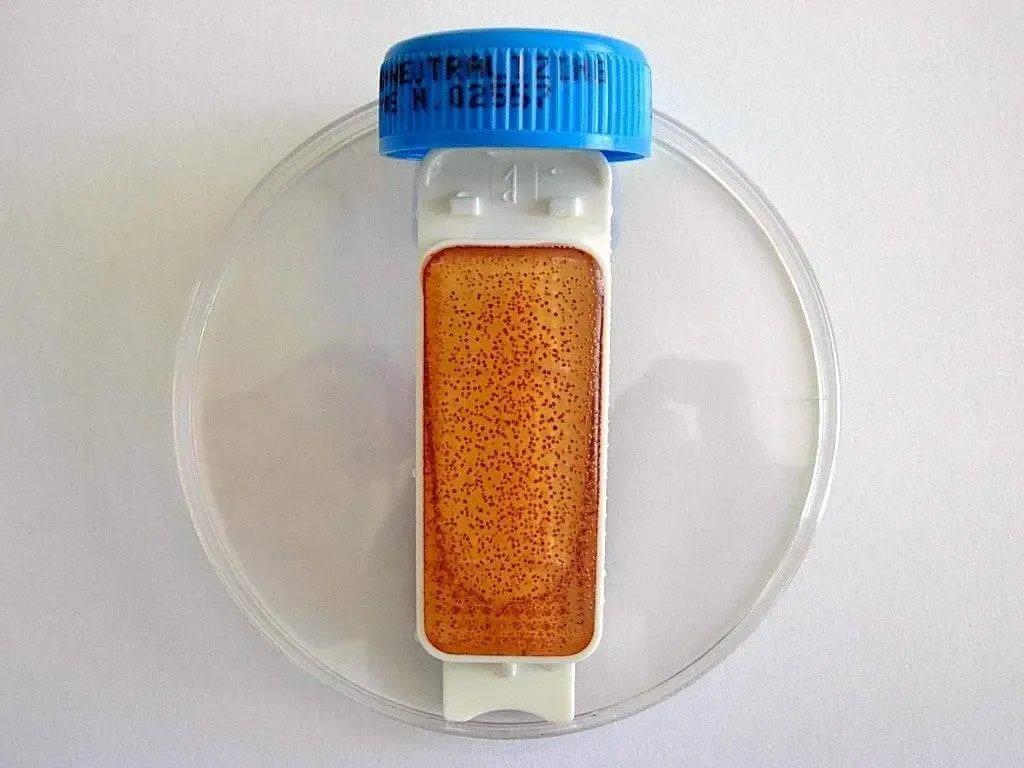 Liofilchem Contact Slide 1 53526
