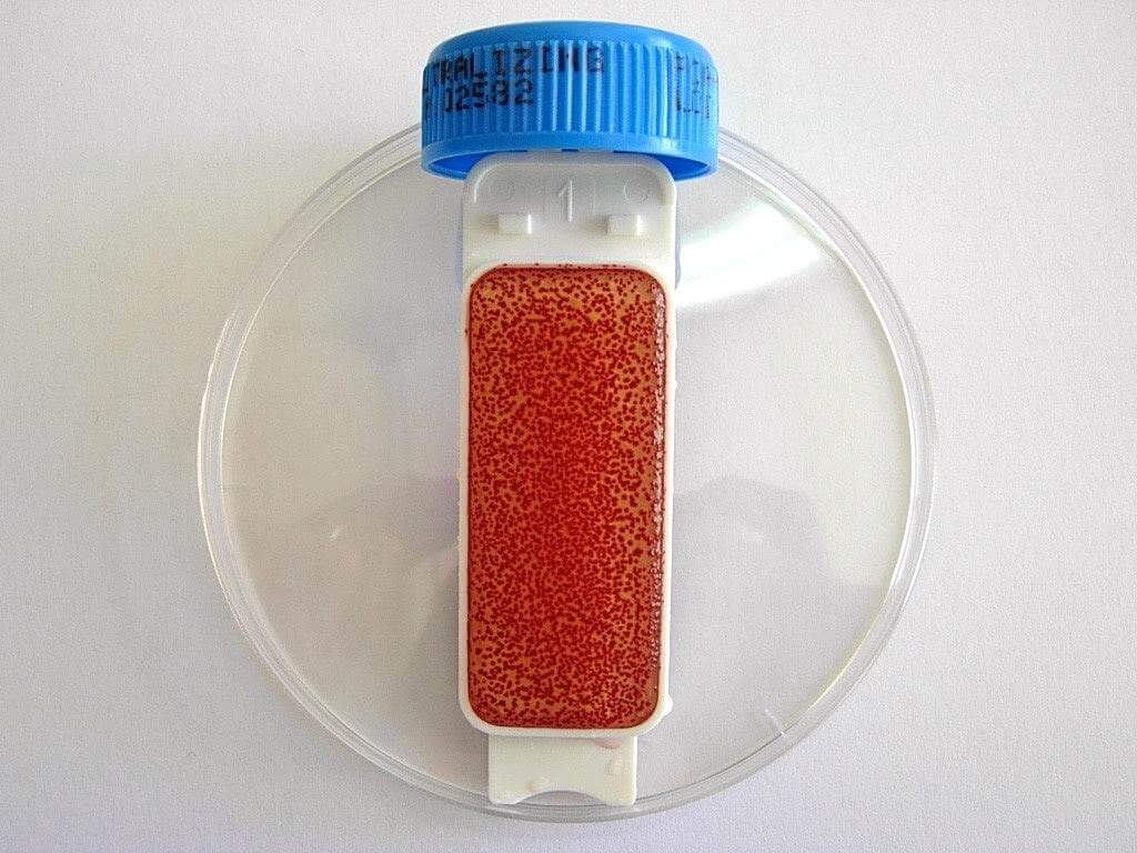 Liofilchem Contact Slide 1 53526