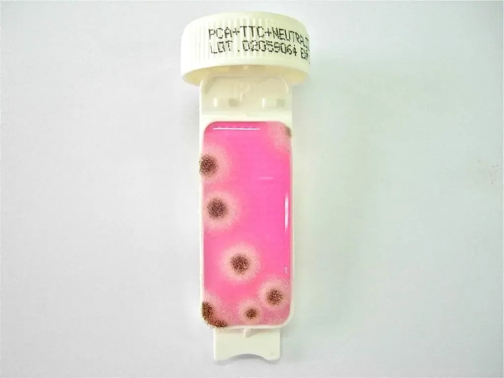 Liofilchem Contact Slide 2 53527