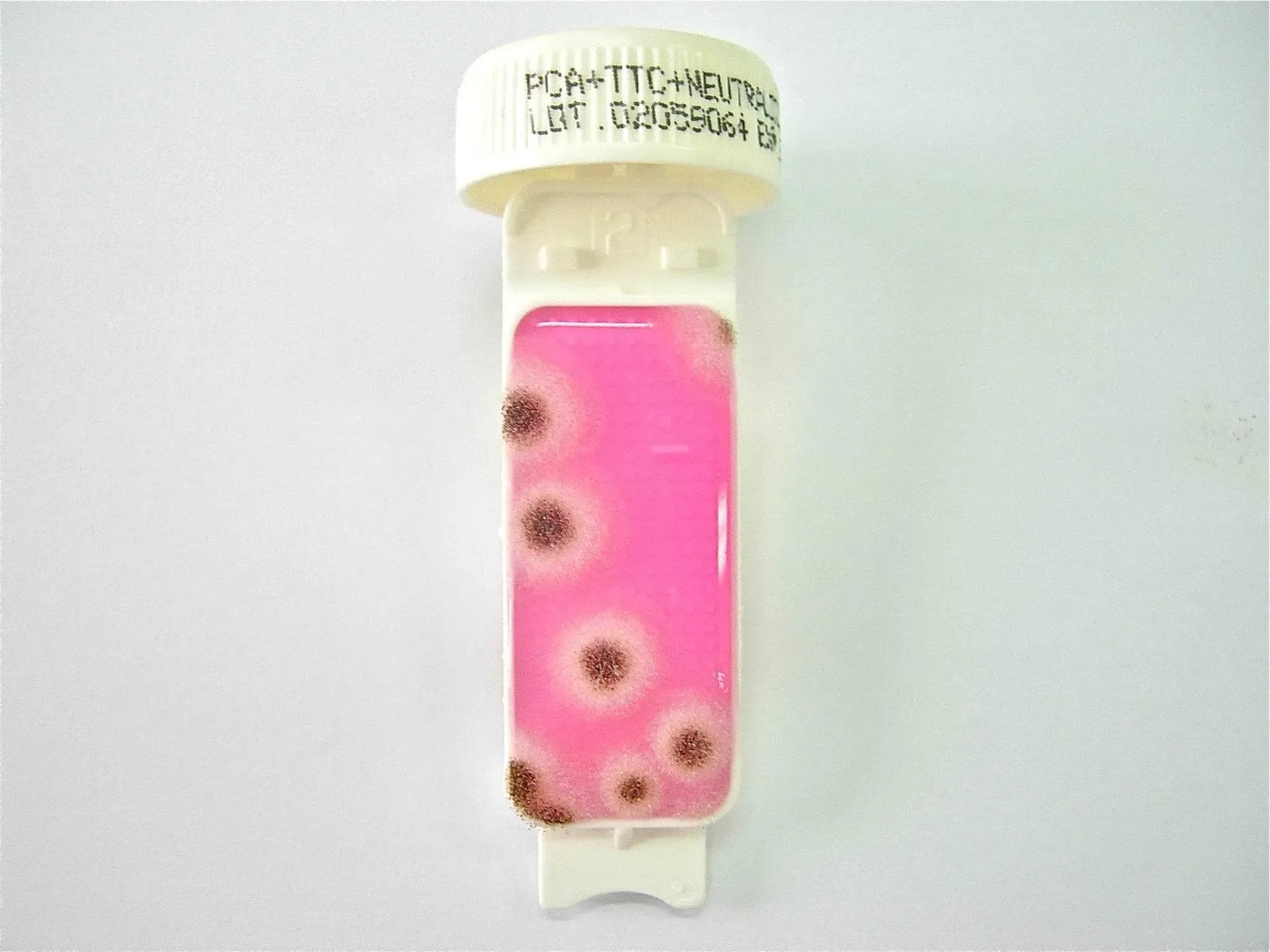 Liofilchem Contact Slide 2 53527